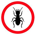 termites-guide.jpg