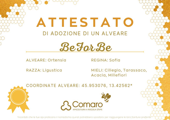 Attestato adozione alveare_BeForBe_page-0001.jpg