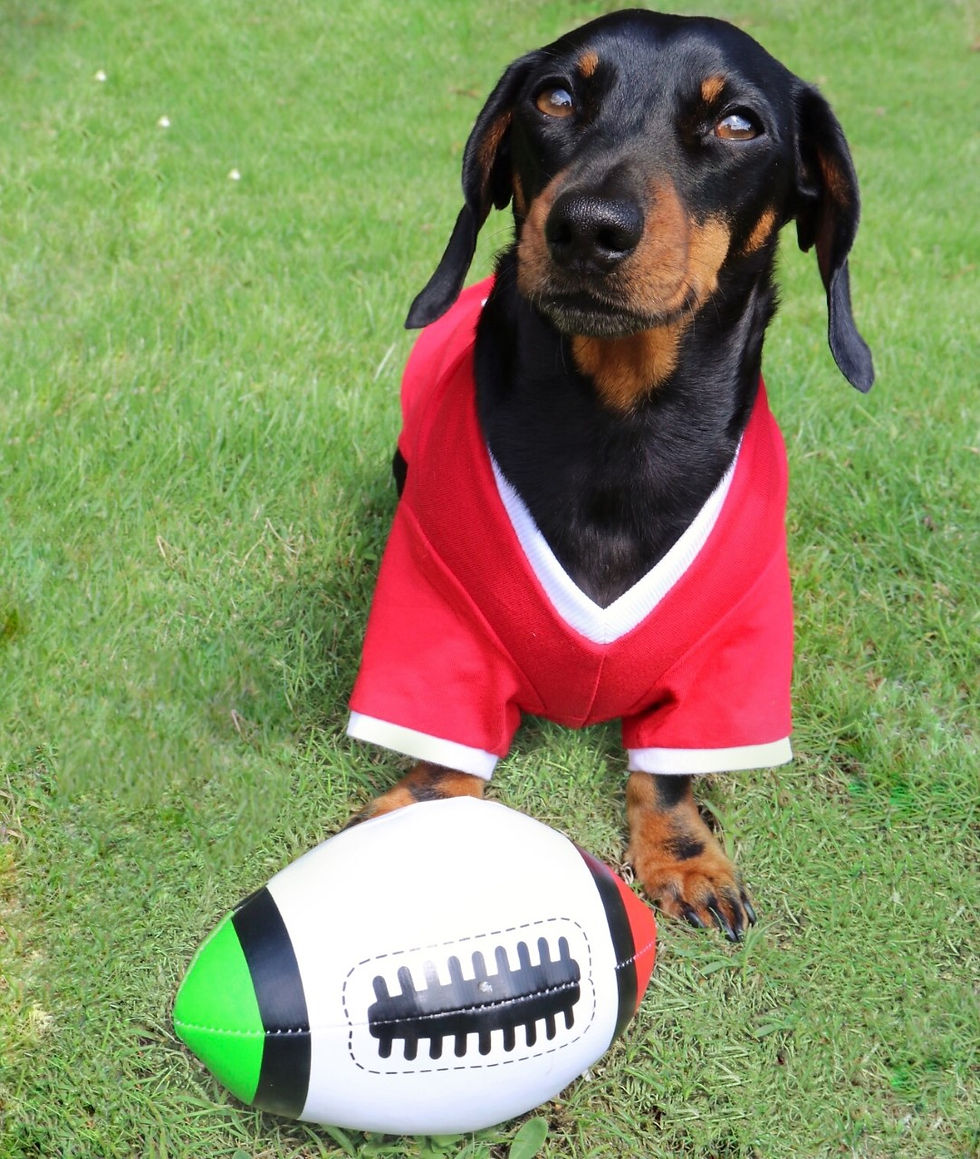 Thumbnail: Red Dog Football Shirt