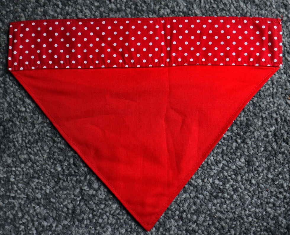 Thumbnail: Red Cherry Polka Dog Bandana