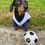 Thumbnail: Lillywhites Dog Football Shirt