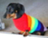 All The Colours Of The Rainbow Dog Jumper