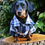 Thumbnail: Lumberjack Dog Checked Shirt