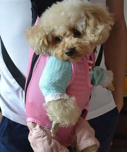 Thumbnail: pink small dog carrier