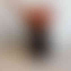 Untitled Project