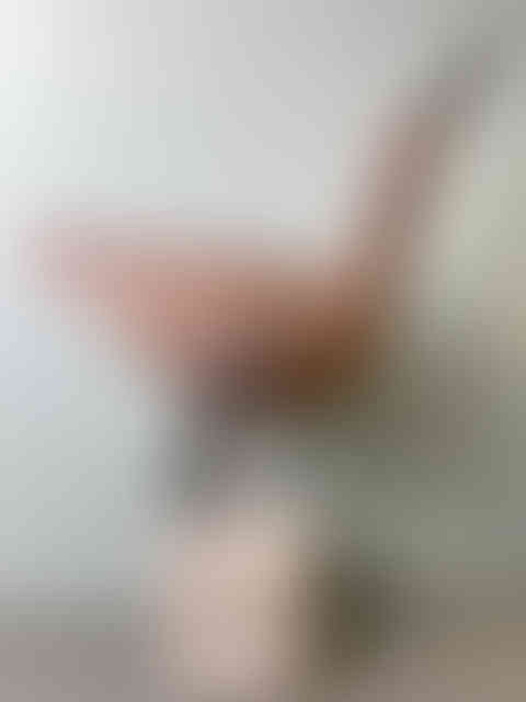 Untitled Project
