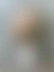 Untitled Project