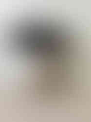 Untitled Project
