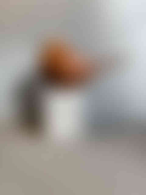 Untitled Project