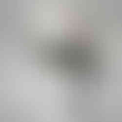 Untitled Project