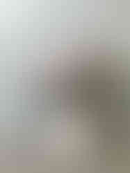 Untitled Project
