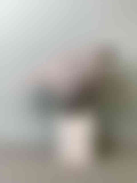 Untitled Project