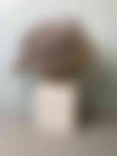 Untitled Project