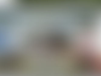 Steamboat Days in Granville Begin March 8th