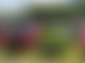 24th Annual Granville Heritage Day Antique Car & Tractor Show