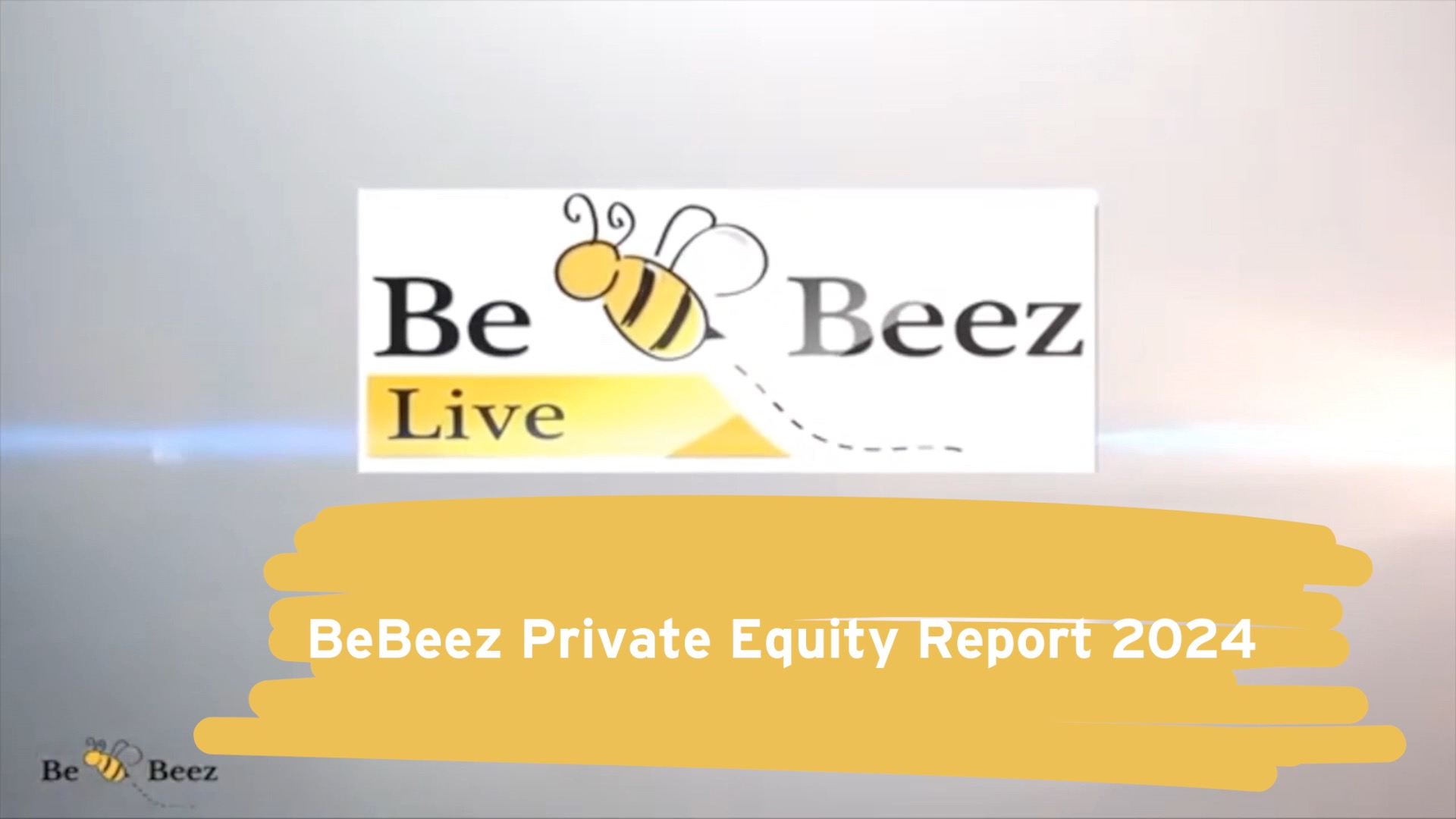 BeBeez Private Equity Report 2024