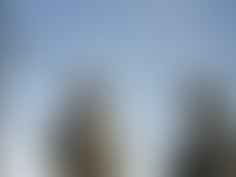 Trump cambia strategia