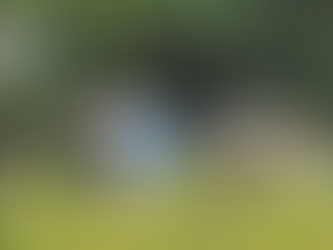 Cade Boeing, 110 morti