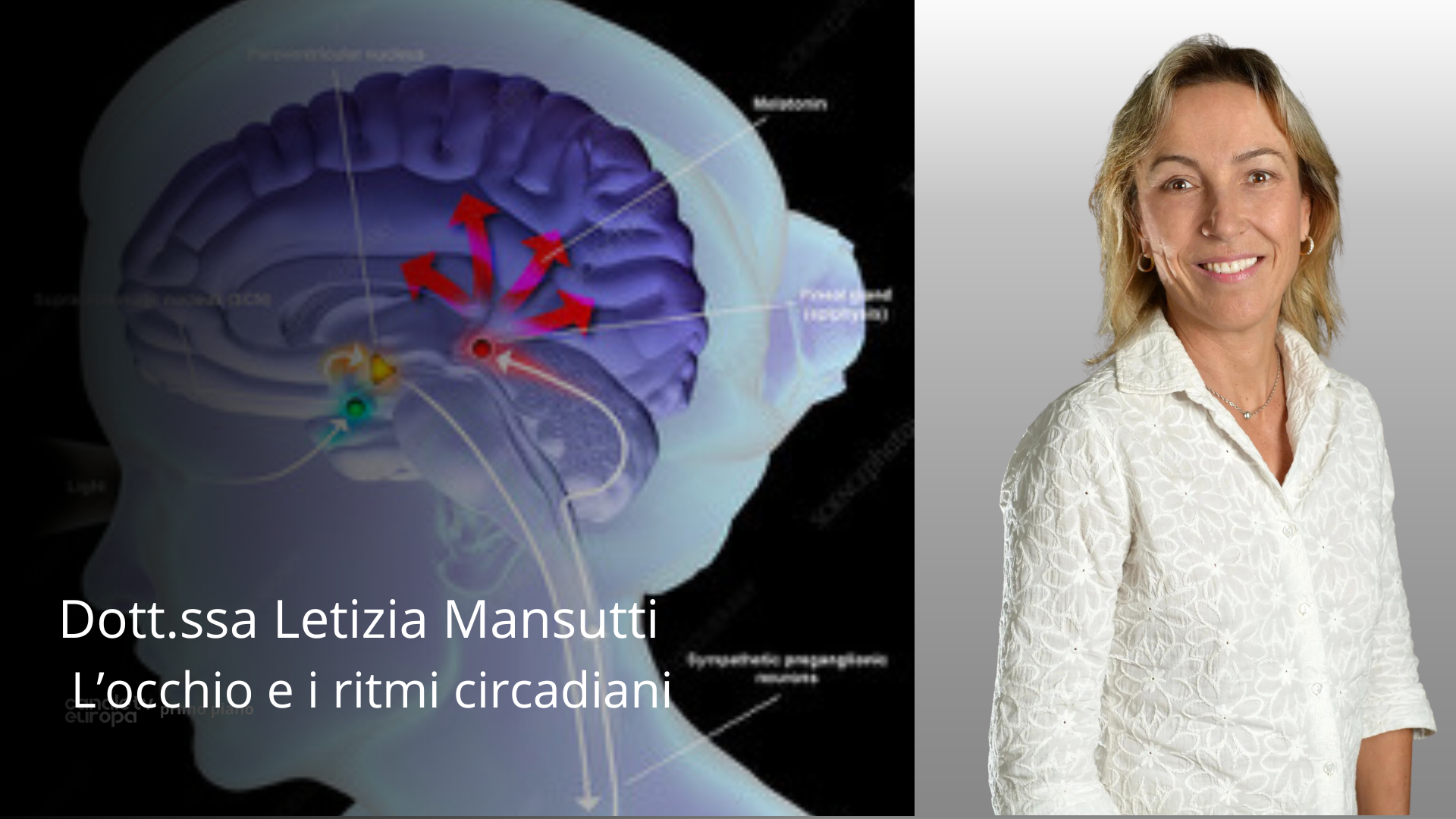 L’occhio e i ritmi circadiani