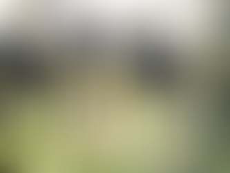 Maxi retata in Mississippi