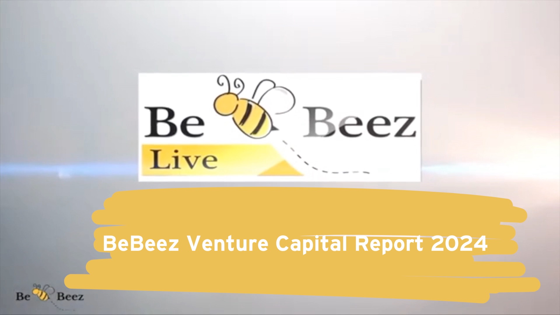 BeBeez Venture Capital Report 2024