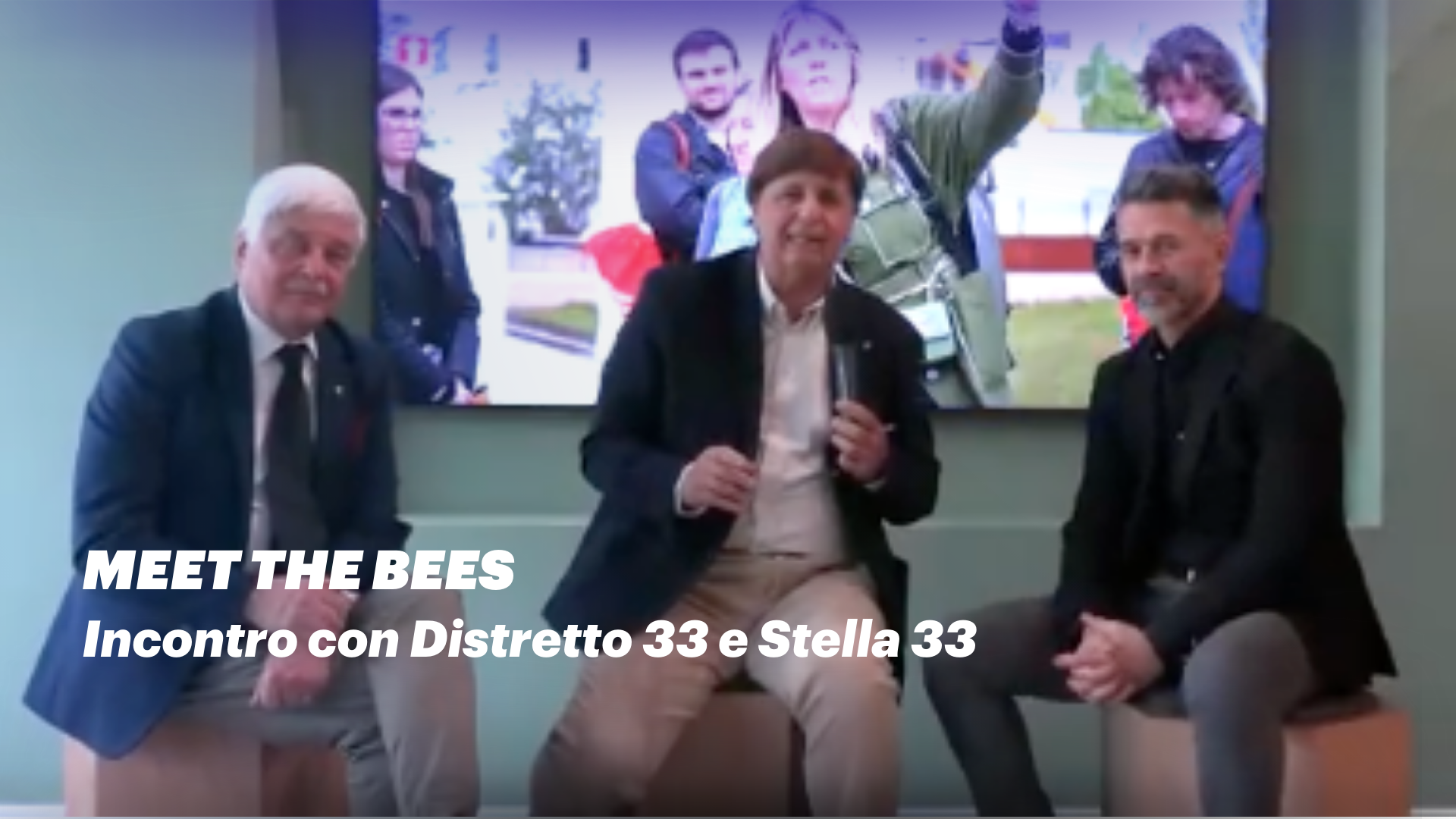 Meet the bees