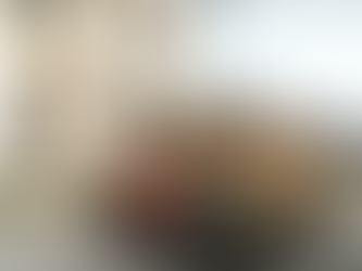 I turchi conquistano Afrin