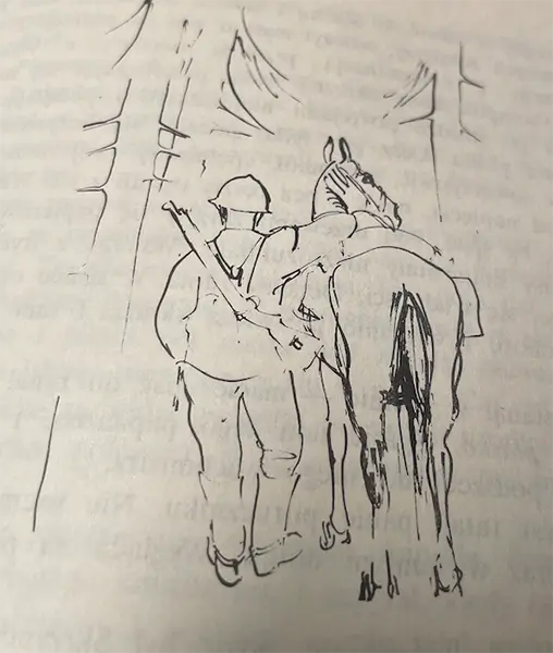 Rysunki: Zygmunt Haupt