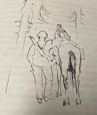 Rysunki: Zygmunt Haupt