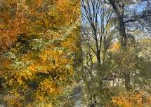 Opowieść o duchach, literaturze i znikającym rękopisie zainspirowana historią Mary Shelley i alpejską nocą grozy. Gdzie kończy się fikcja, a zaczyna widmo?