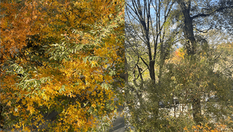 Opowieść o duchach, literaturze i znikającym rękopisie zainspirowana historią Mary Shelley i alpejską nocą grozy. Gdzie kończy się fikcja, a zaczyna widmo?