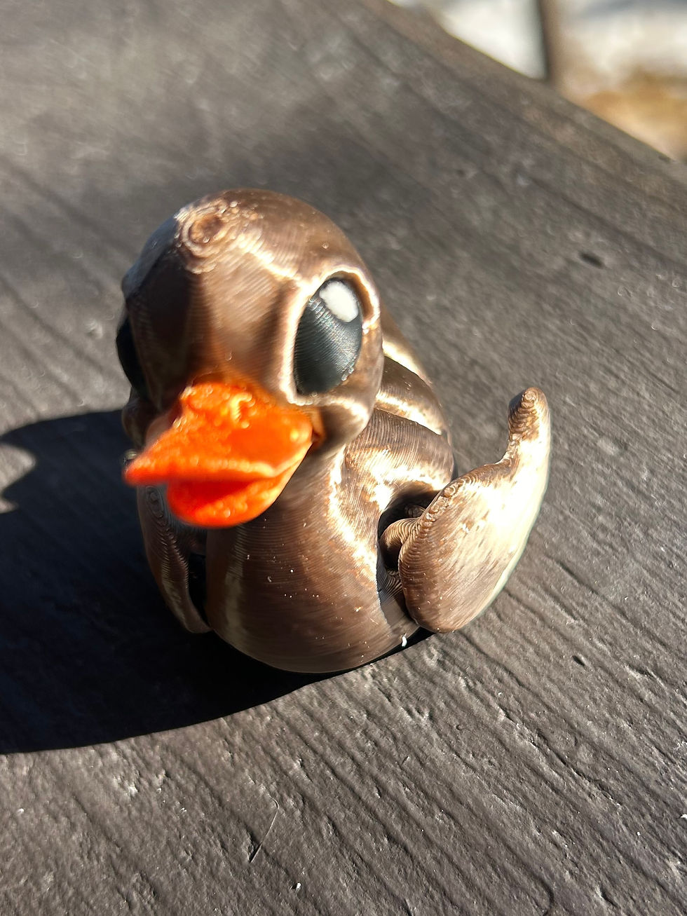 Thumbnail: Brown Duckling