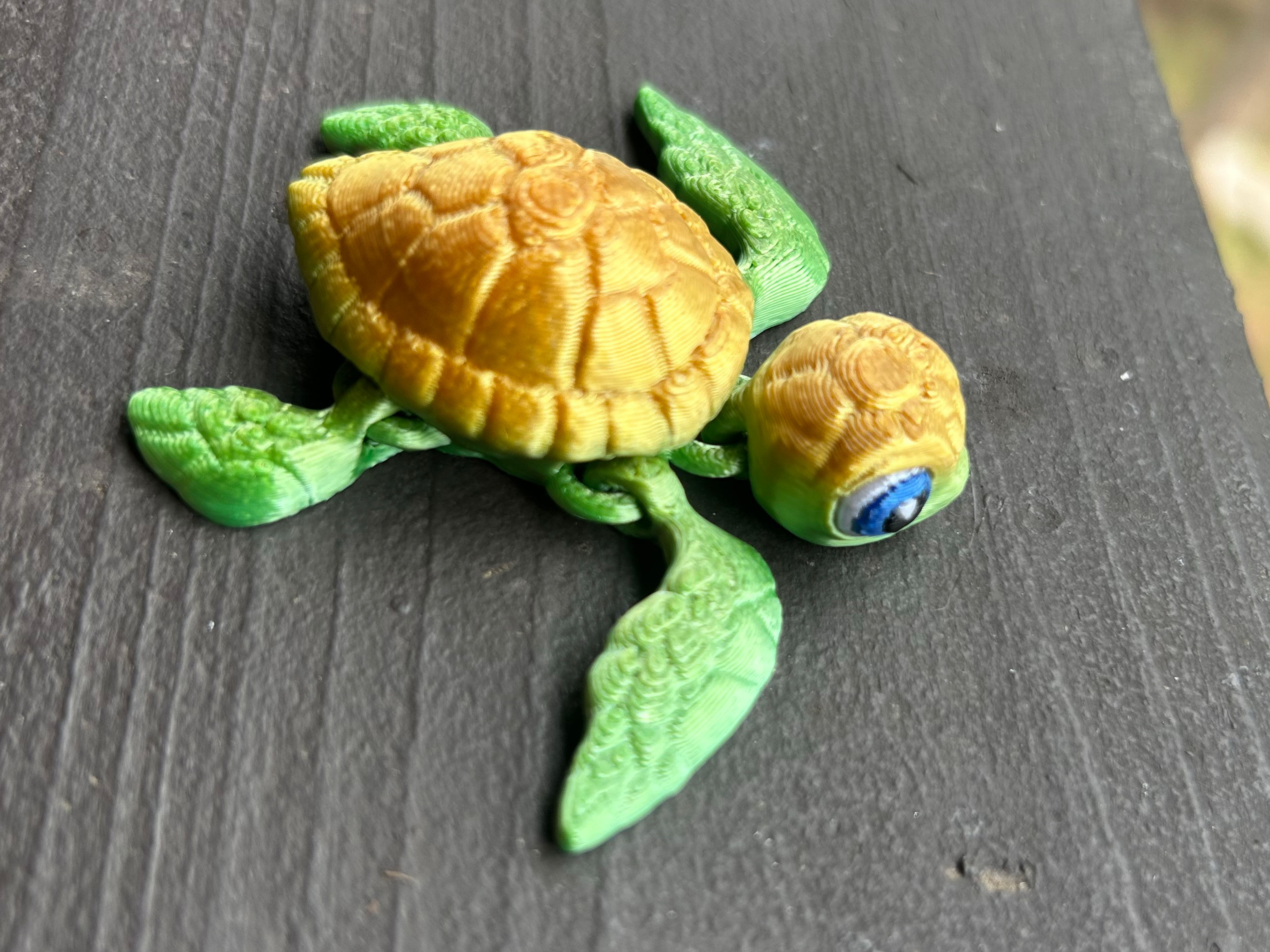 Sea Turtle Magnets