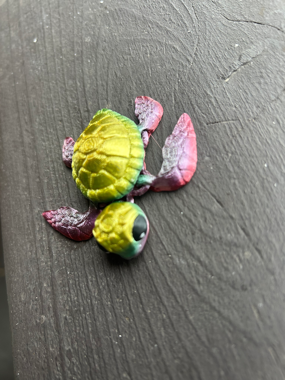 Thumbnail: Pink to Yellow Tiny Sea Turtle