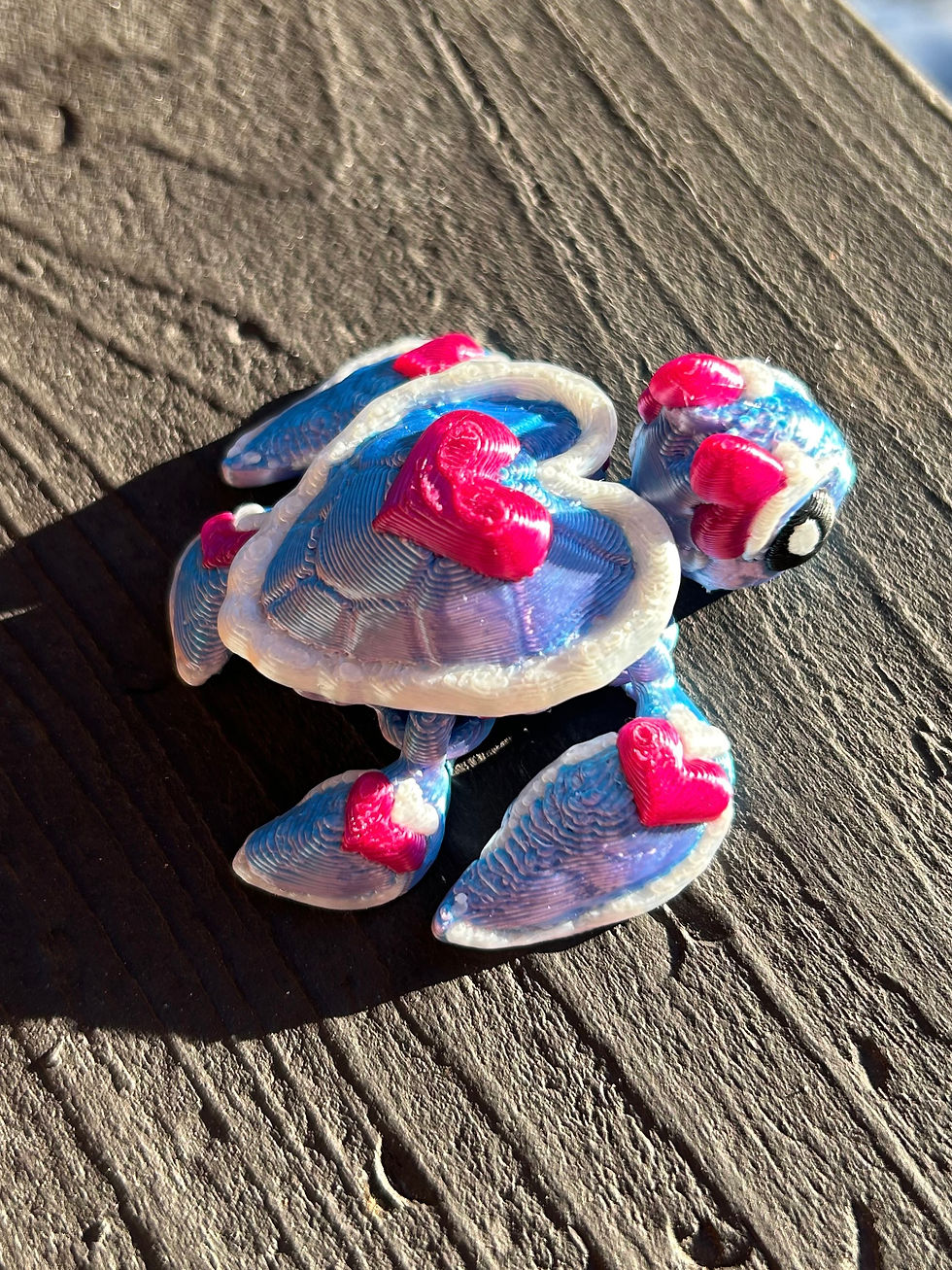 Blue/Pink Tiny Heart Turtle