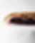 Brombeere Pirog