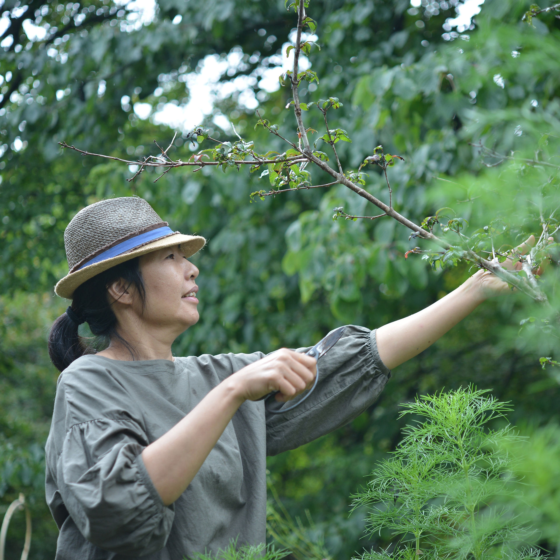 hiromi-oba