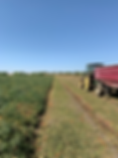 20190808_174632516_iOS.heic