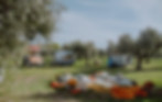 b0e8c3dc-3d11-4e55-a85b-8e74e189404d.jpg