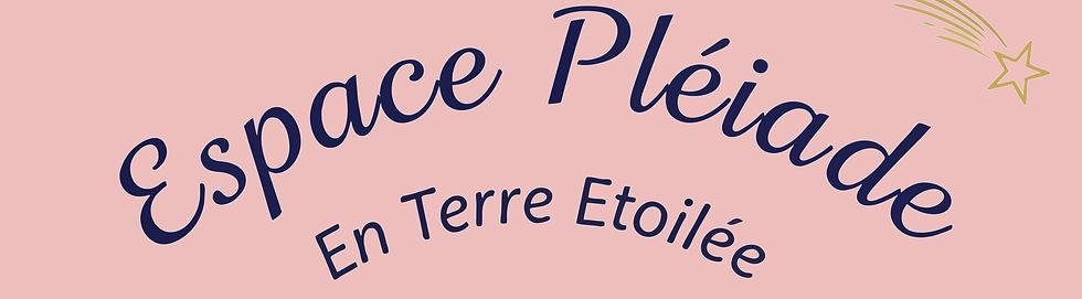 logo pleiade PNG_edited_edited.jpg