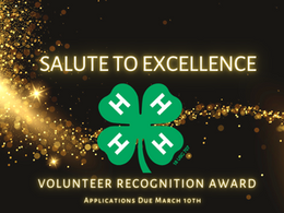 The National 4-H Salute to Excellence Volunteer Recognition Award Nominees Sought