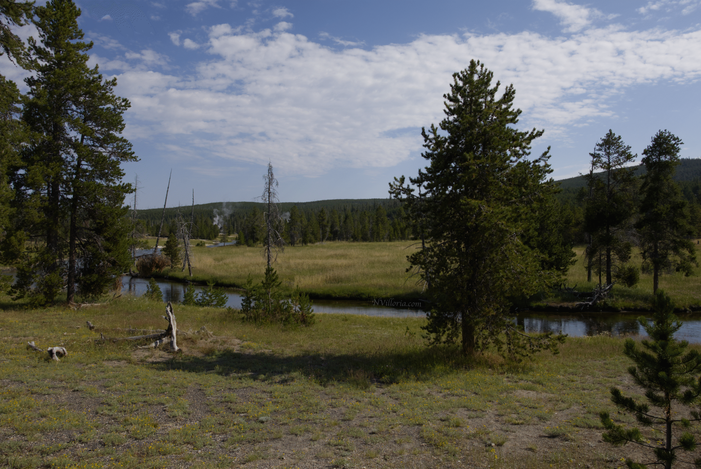 landscape views at Yellowstone National Park - via NVilloria.com
