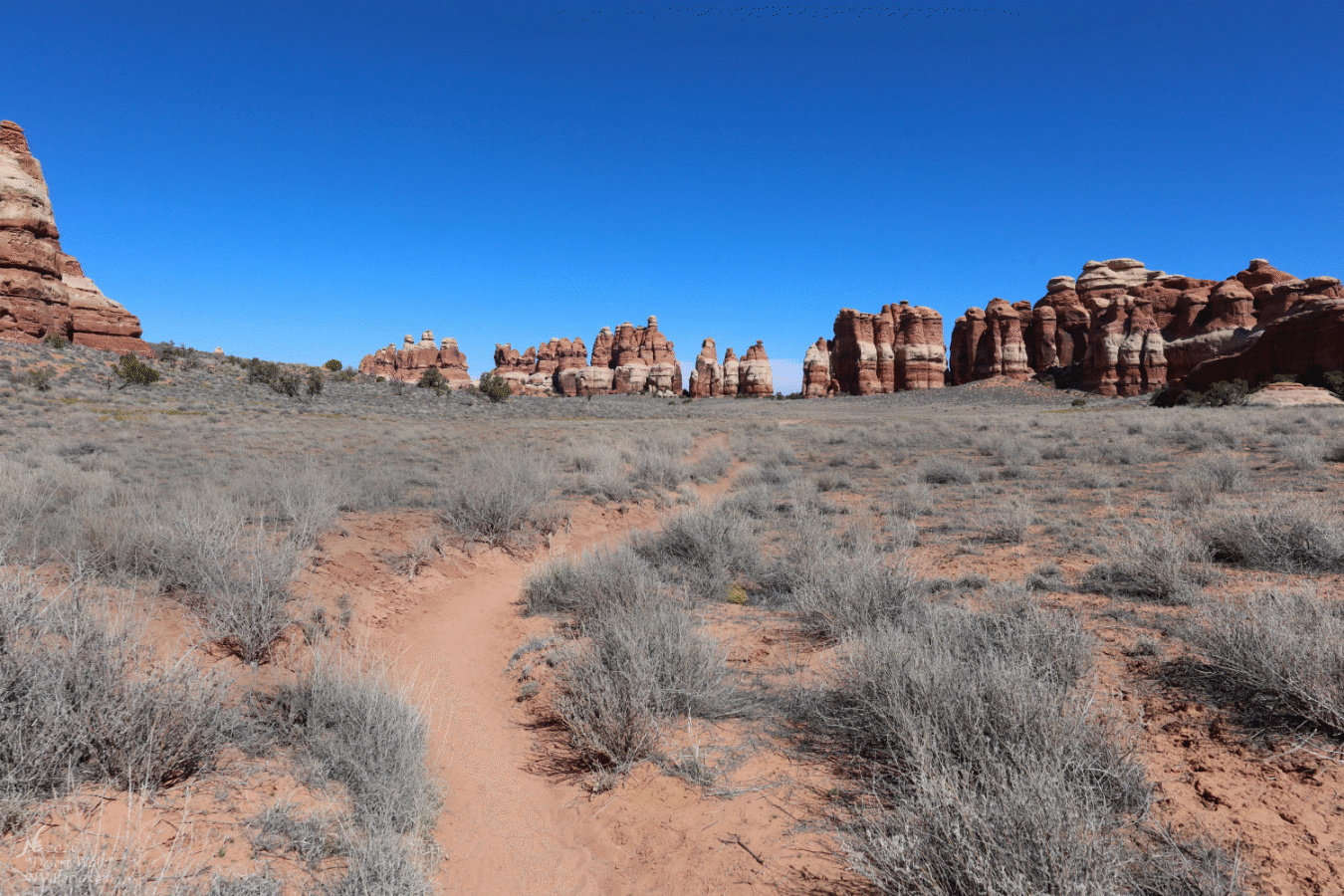 E_IMG_0650_Site Thumbnail.gif