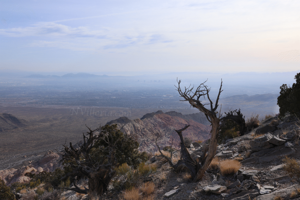 views hiking Turtlehead Peak via NVilloria.com