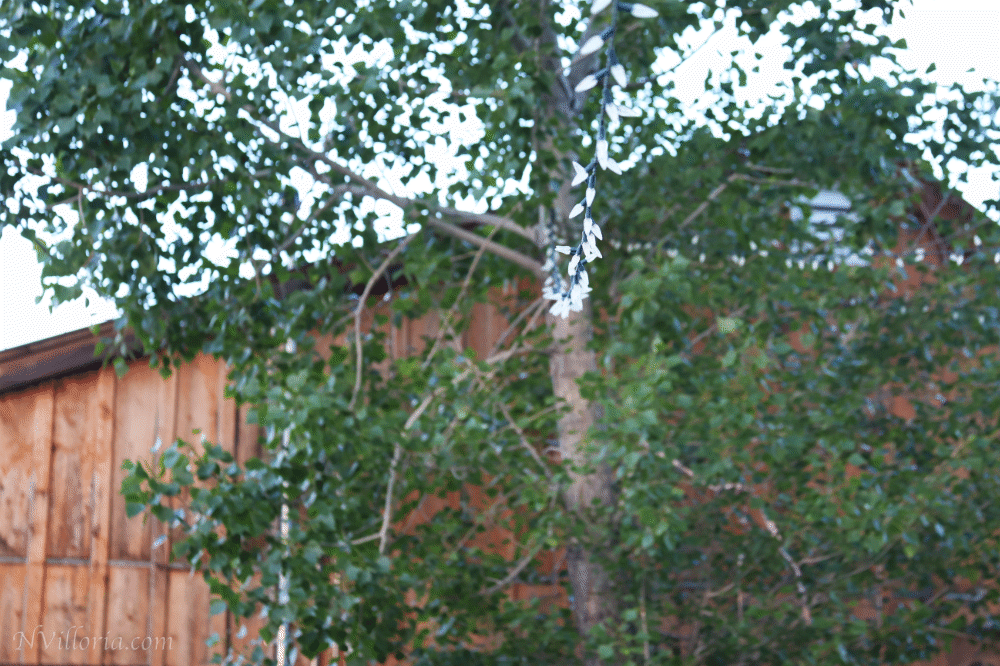 Backyard lighting at The Stargazer Inn in Baker, NV - via NVilloria.com blog