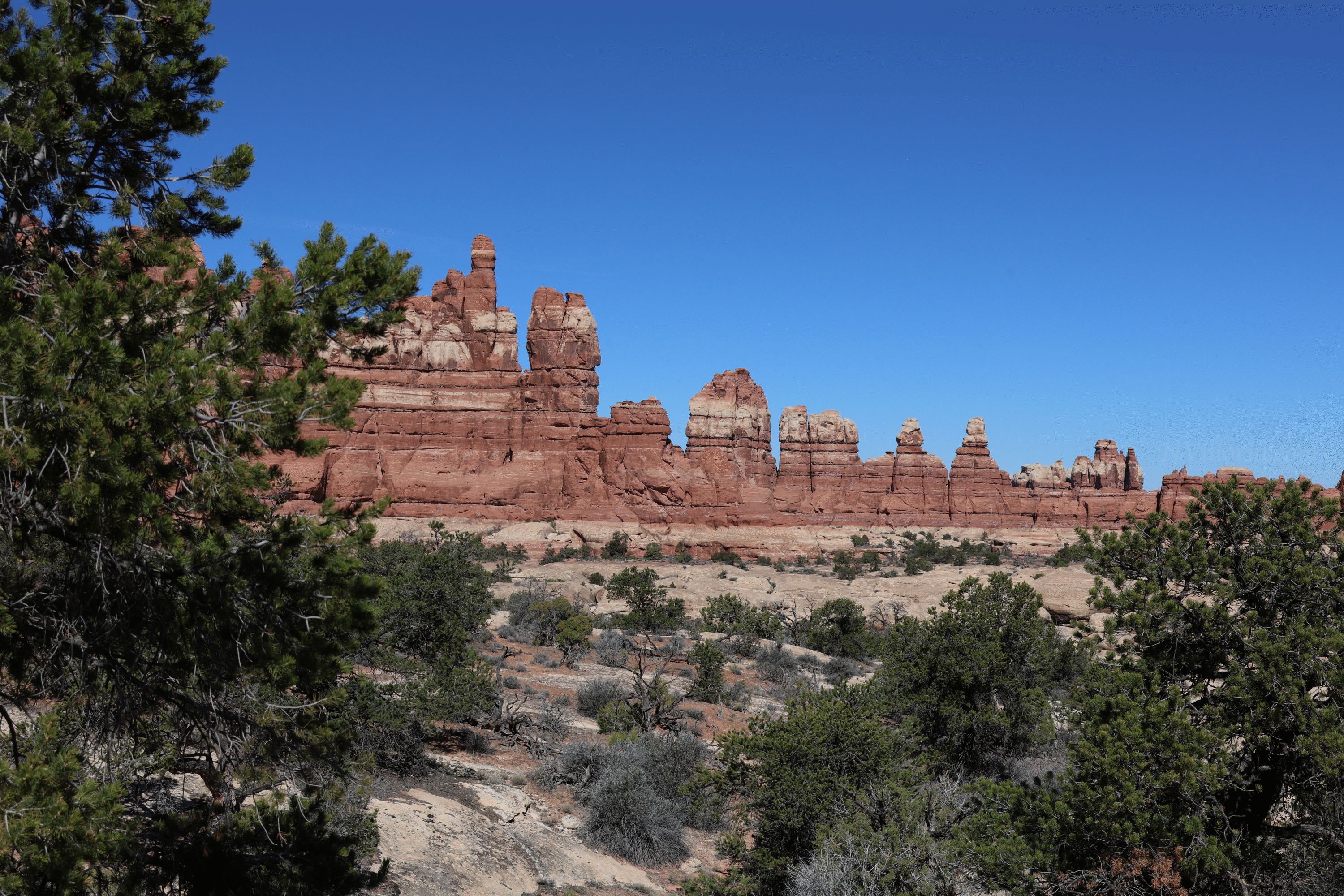 Trail views hiking the Needles District at Canyonlands National Park - via NVilloria.com