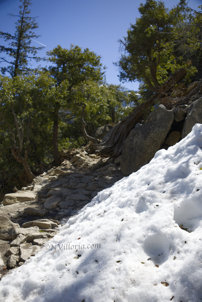 Yosemite Falls at Yosemite National Park - NVilloria.com