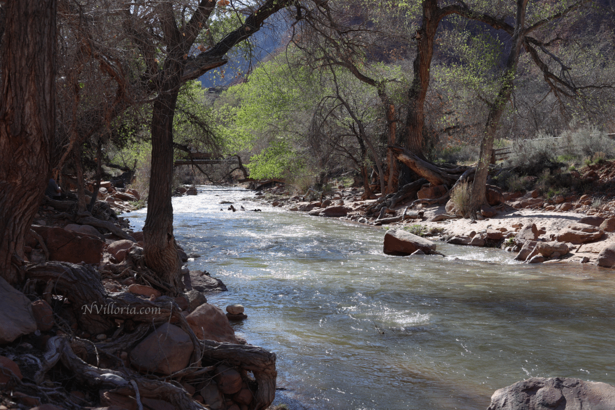 views from Zion National Park - via NVilloria.com