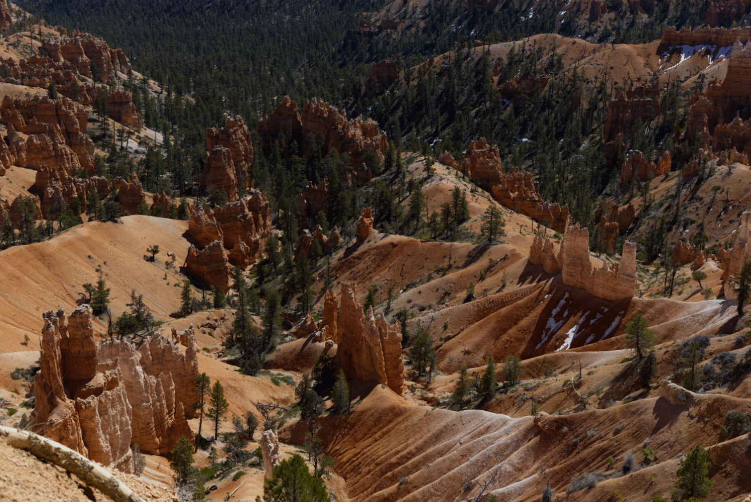 views of Bryce Canyon National Park via NVilloria.com