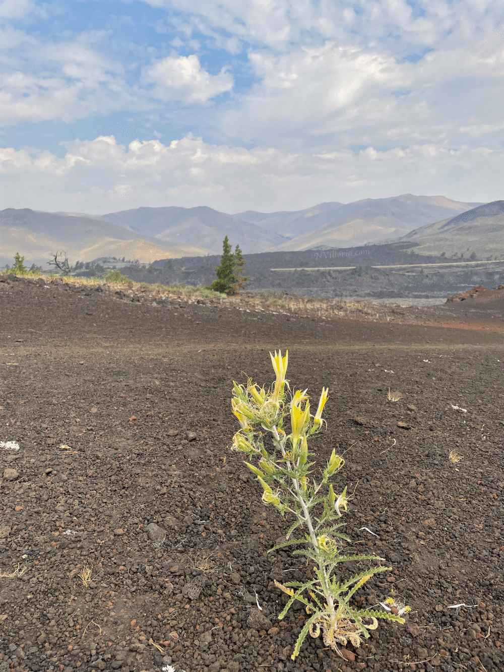views from North Crater Trail at Craters of the Moon monument - via NVilloria.com